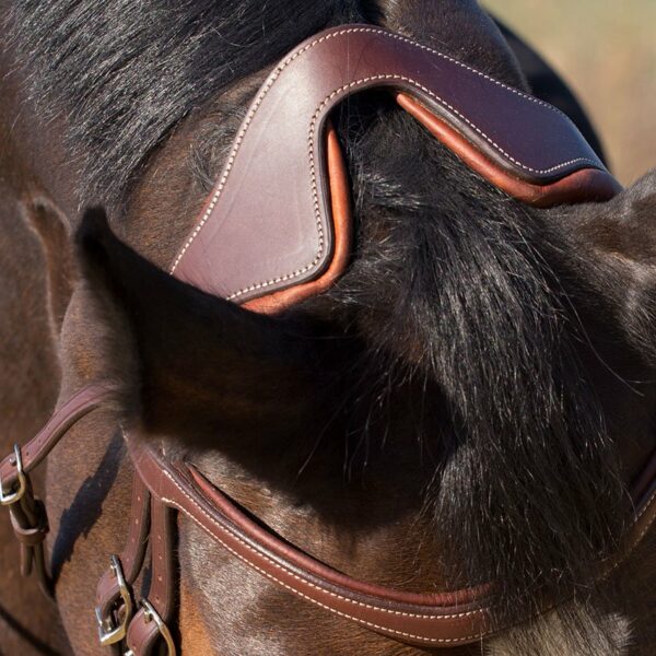 Antares Precision träns med Komfort Aachennosgrimma