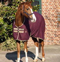 Horseware Amigo Stable sheet