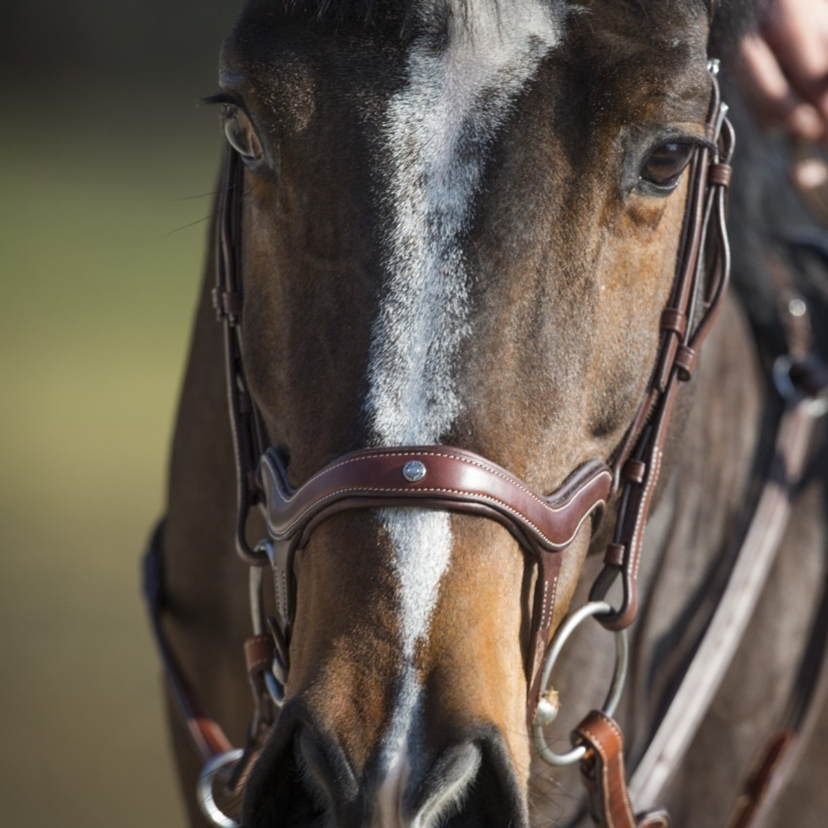 Antares Precision Y-nosgrimma