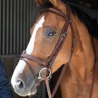 Antares Origin bridle with Aachen noseband