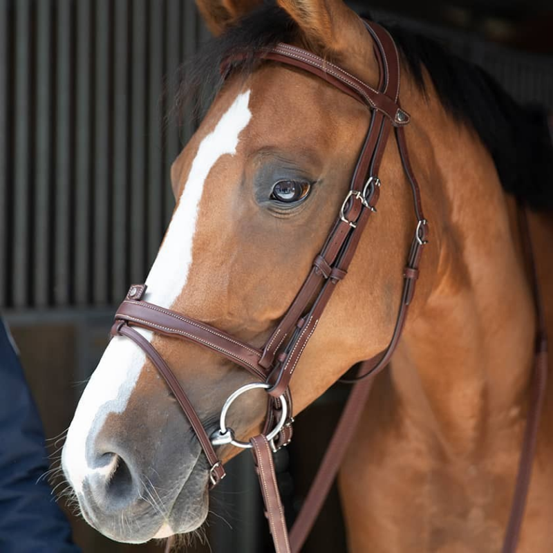 Antares Origin bridle with Aachen noseband