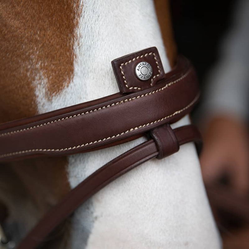 Antares Origin bridle with Aachen noseband