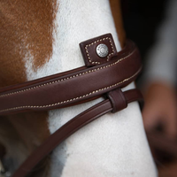 Antares Origin bridle with Aachen noseband