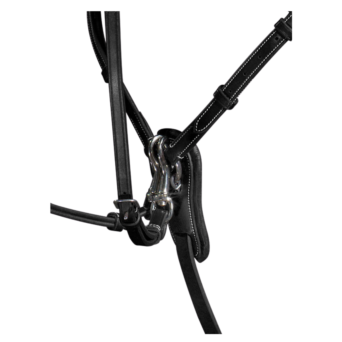 Equiline Förbygel med martingal