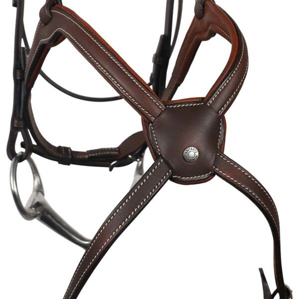 Antares Origin träns med Pullarnosgrimma