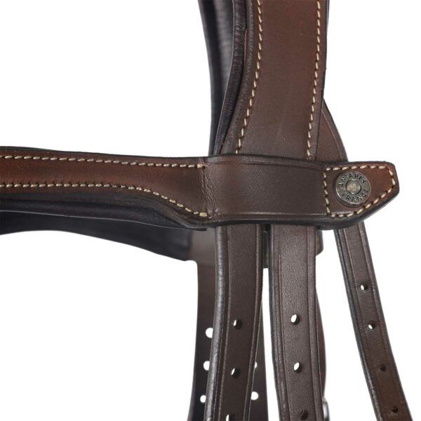 Antares Origin träns med Aachennosgrimma