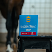 Biofarmab Kompress 10x10