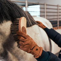 Borstiq Horse Whisk PP 175mm