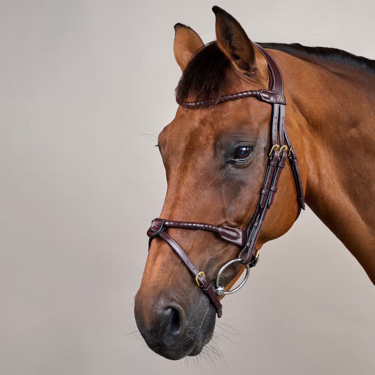 Dyon DY Braided Flash Noseband Träns