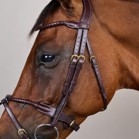 Dyon DY Braided Flash Noseband Träns