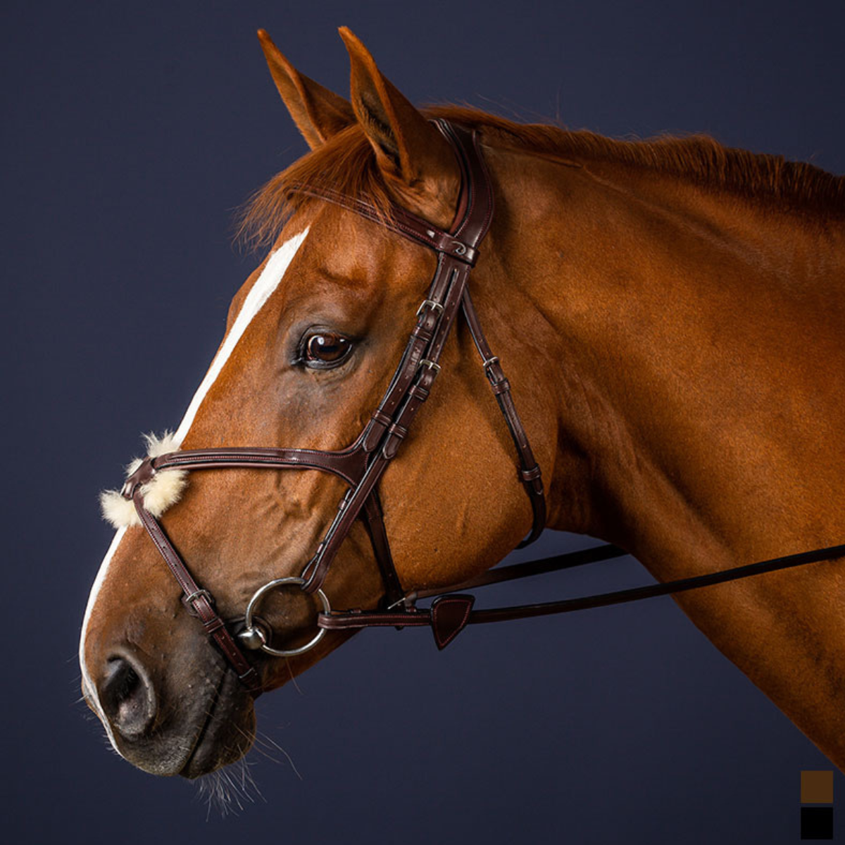 Dyon NE Träns mexikansk nosgrimma