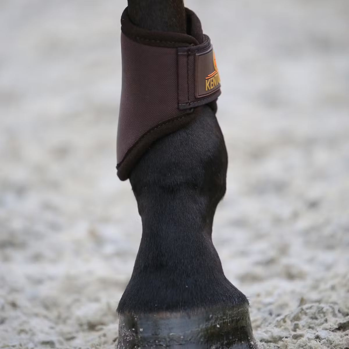 Brushing Boots 3D Spacer Short Bak