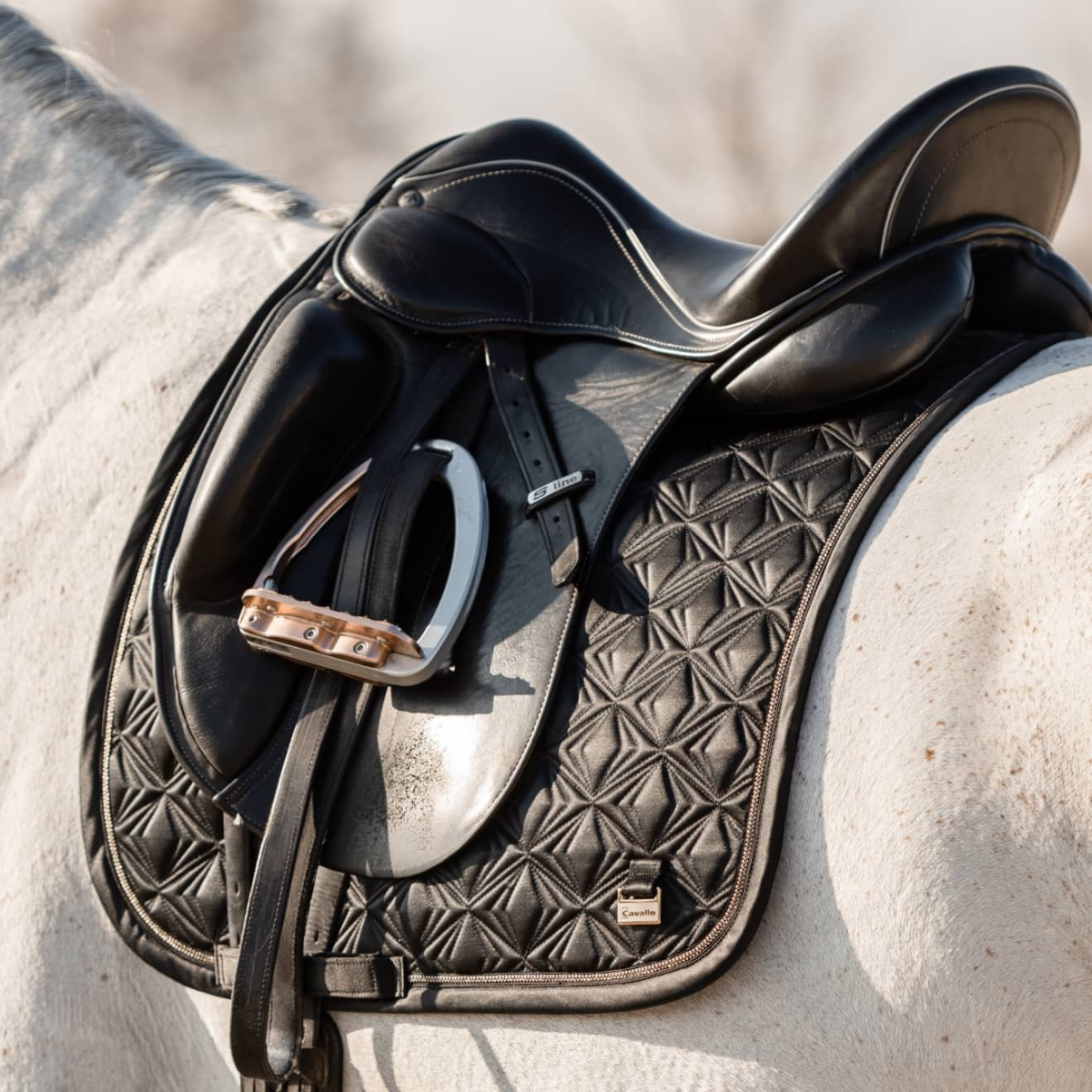 Cavallo Schabrak Lifa dressyr