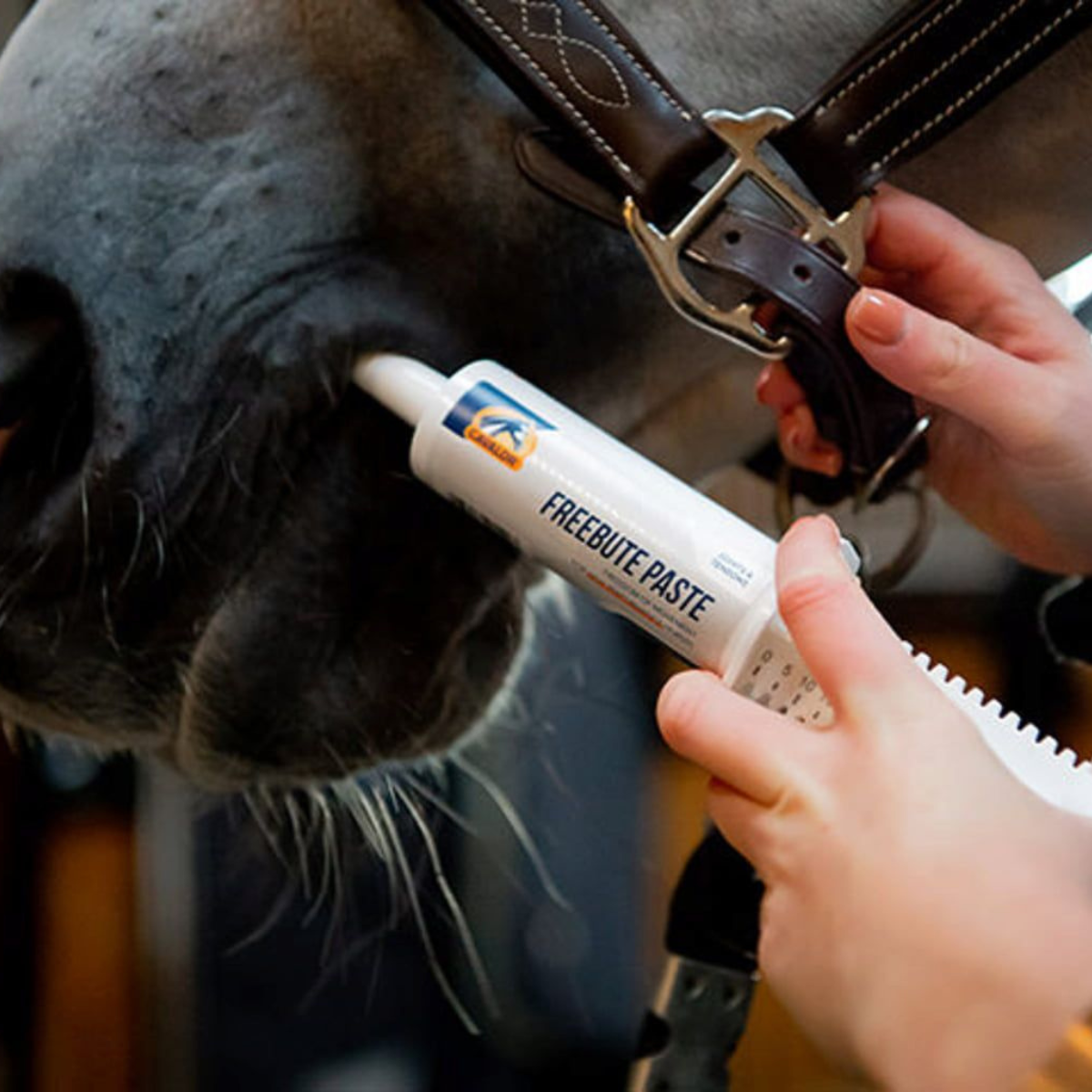 Cavalor Freebute Paste Tube