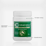 ChondroPlus 700g