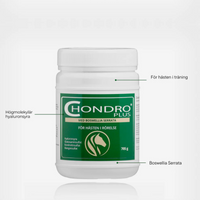 ChondroPlus 700g