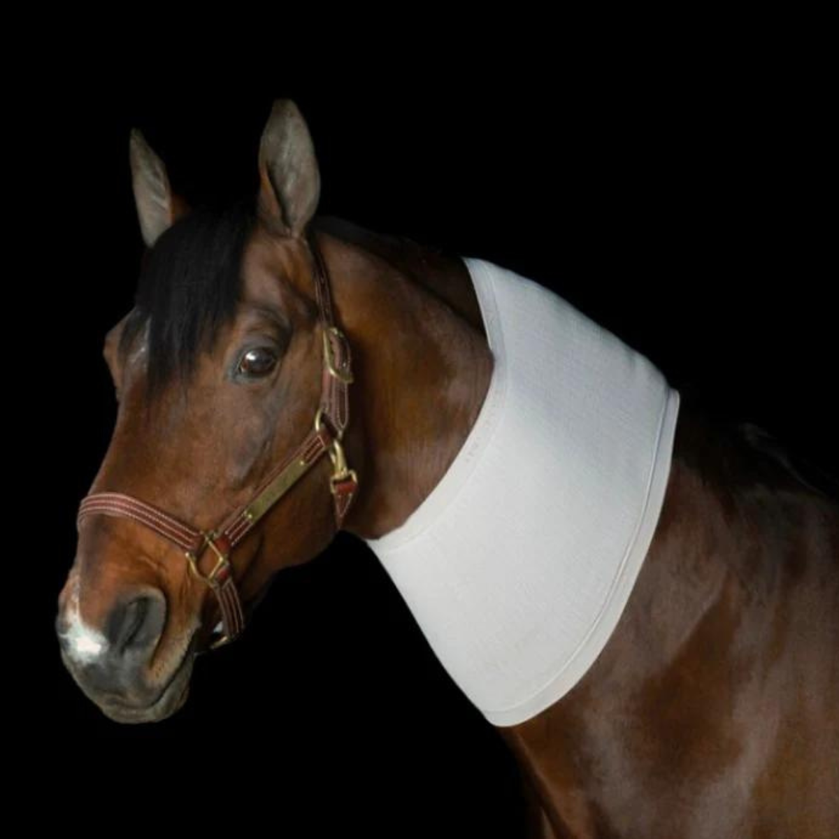 Incrediwear Circulation Neck Sleeve