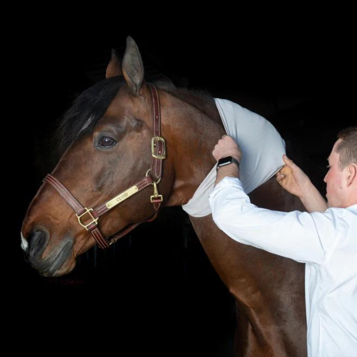 Incrediwear Circulation Neck Sleeve