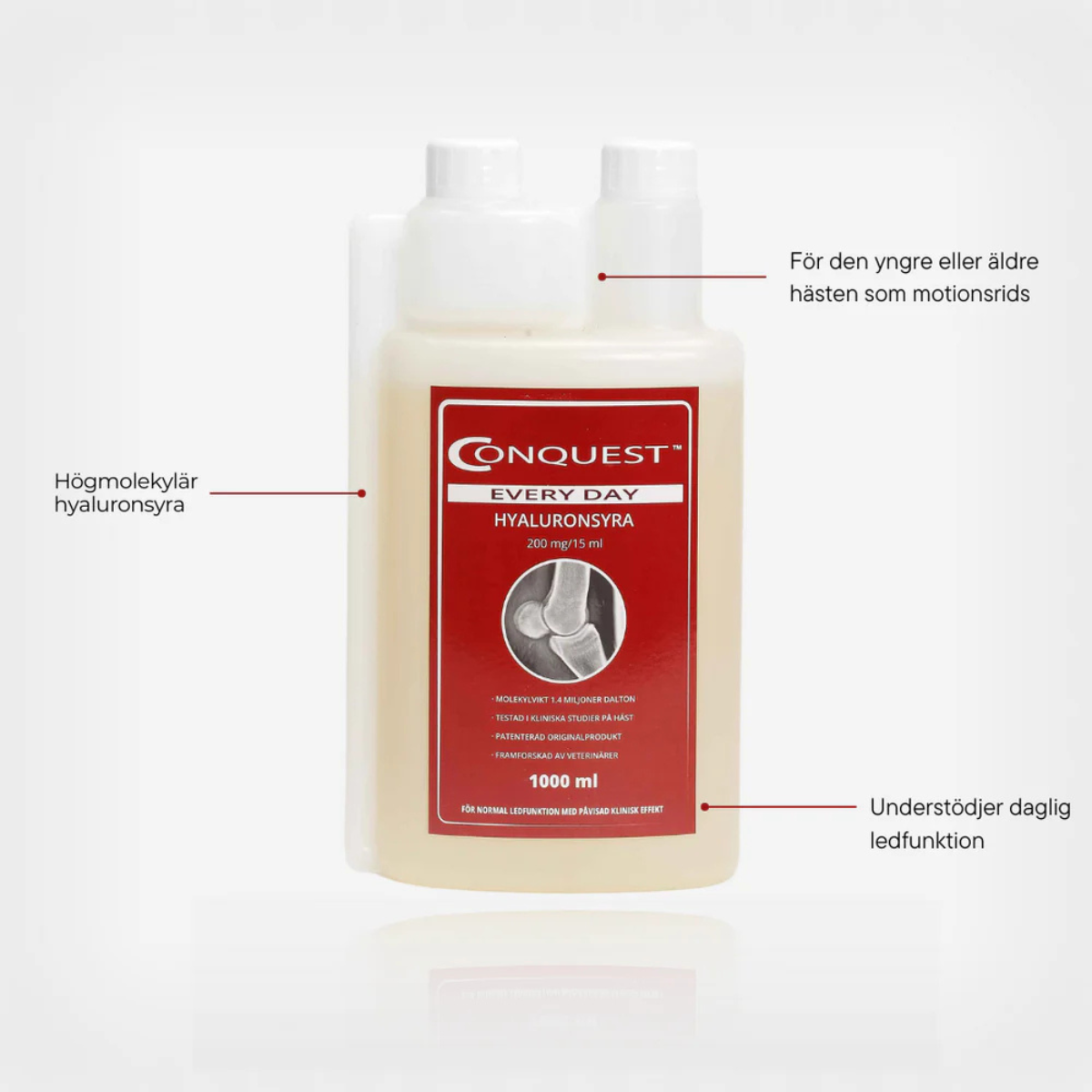 Conquest Every Day 1000 ml