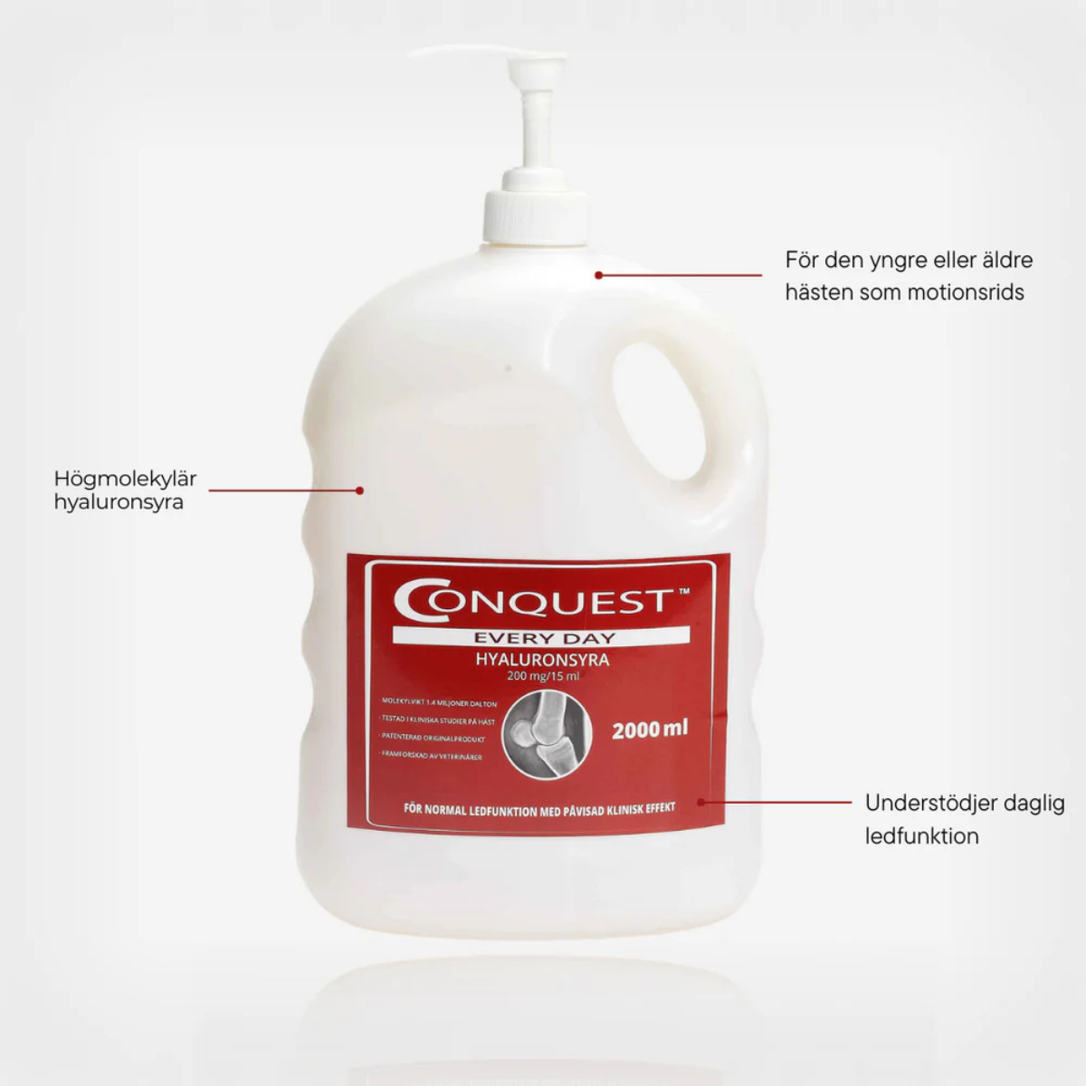 Conquest Every Day 2000 ml