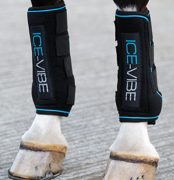 Horseware Ice Vibe Ben