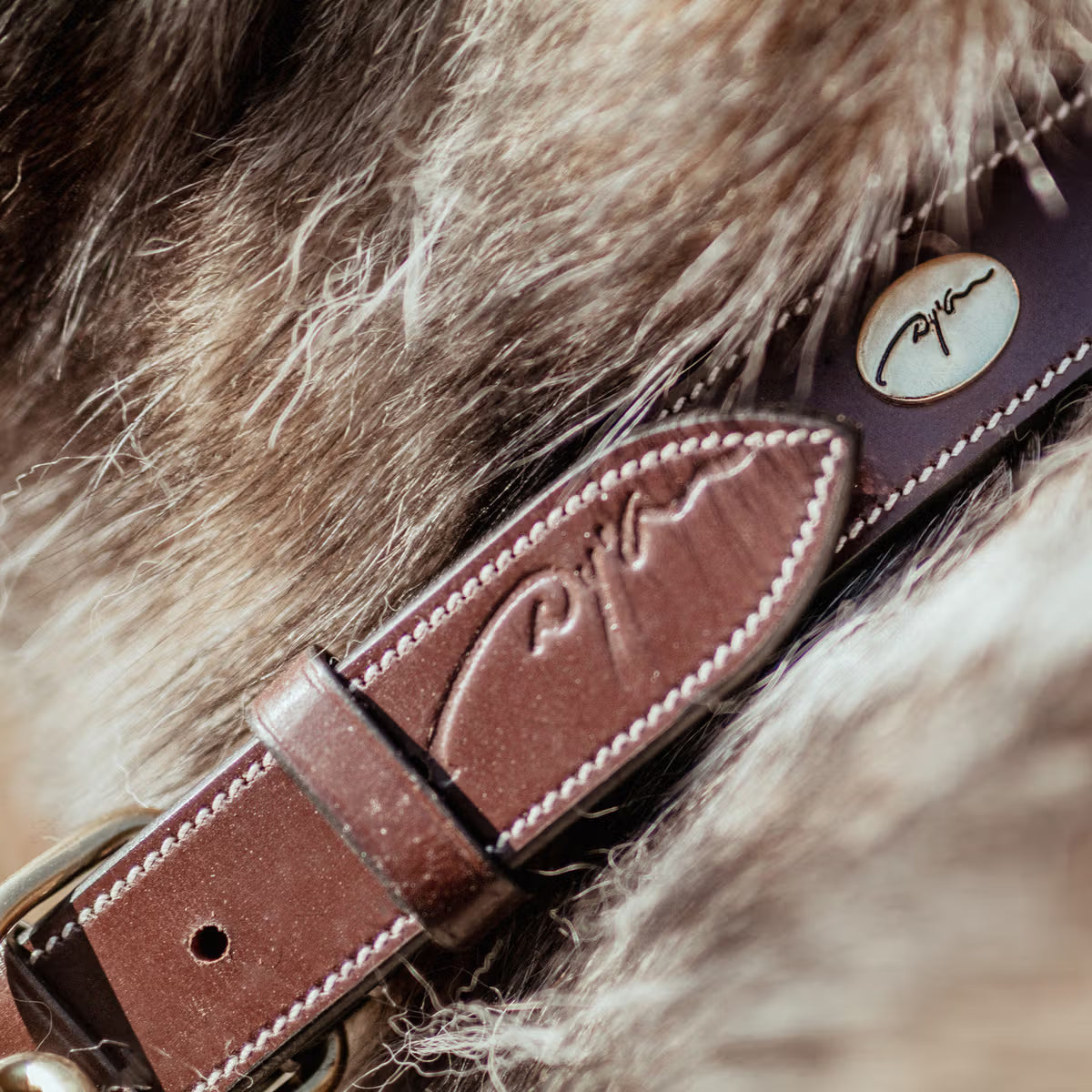 Dyon Hundhalsband Läder