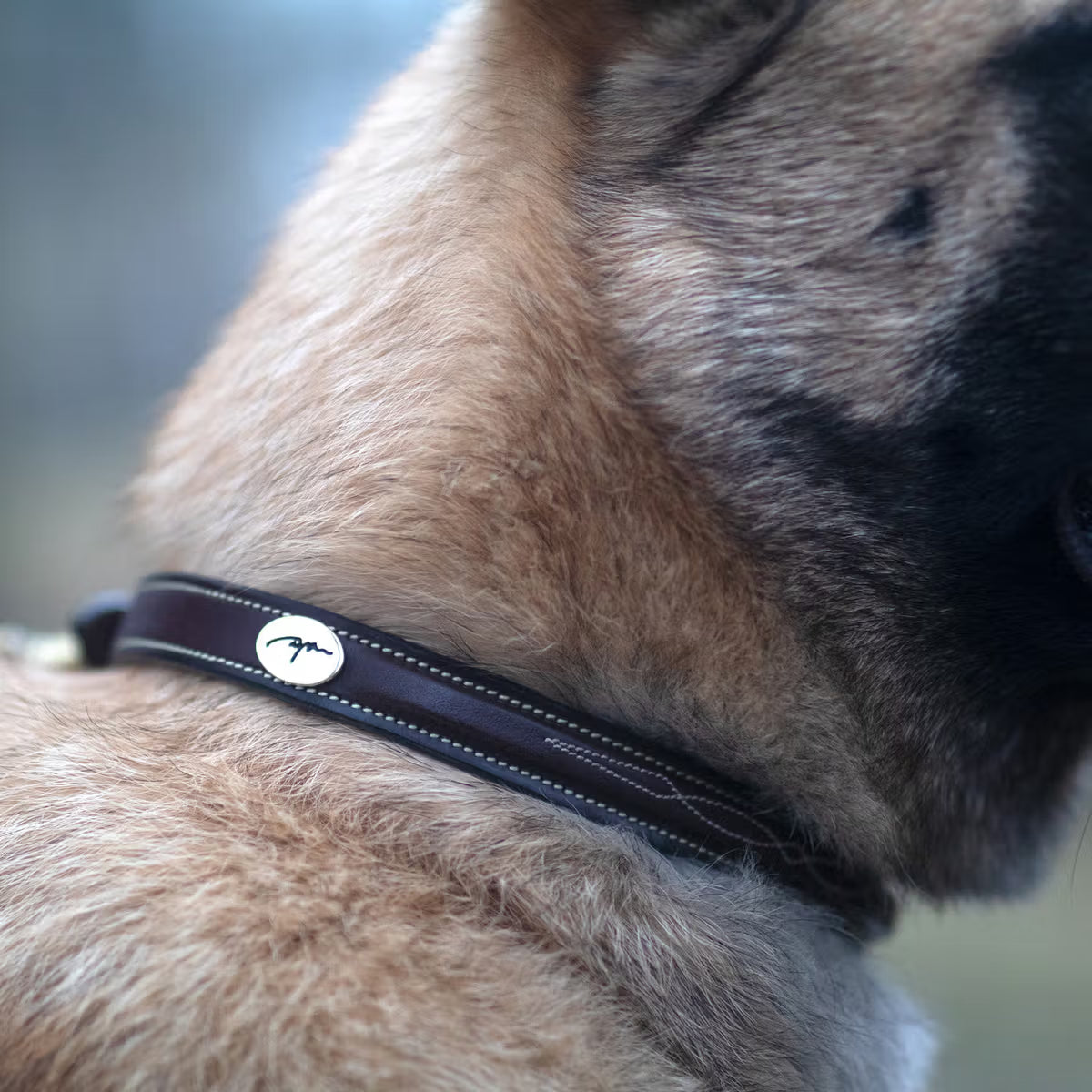 Dyon Dog collar squareraised with pattern stitch