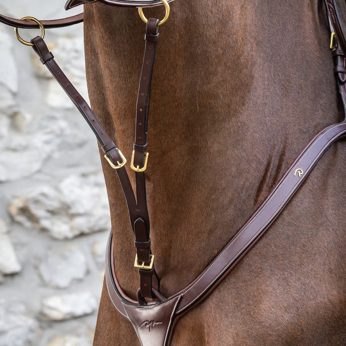 Dyon DY Short martingale for chest