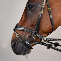 Dyon DY D-Motion träns