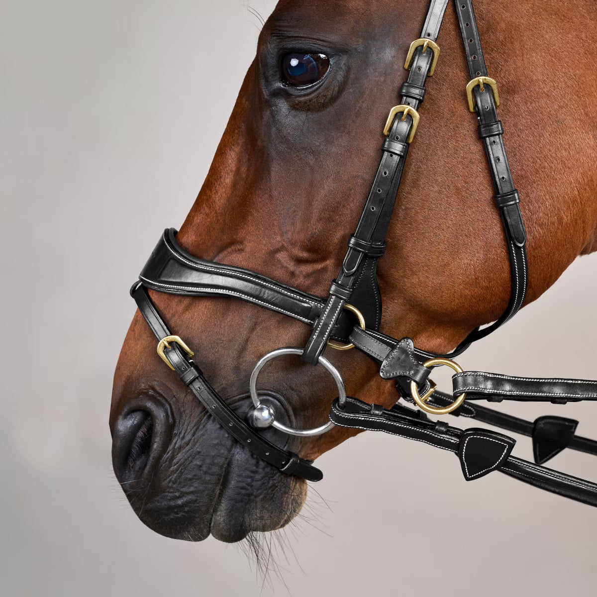 Dyon DY D-Motion träns