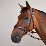 Dyon DY D-Motion träns