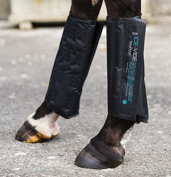Horseware Ice Vibe Cool Pack Ben