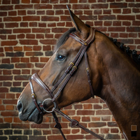 Dyon DY Träns anatomisk nosgrimma