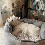 Dogman Classy Memory foam oval Hundbädd