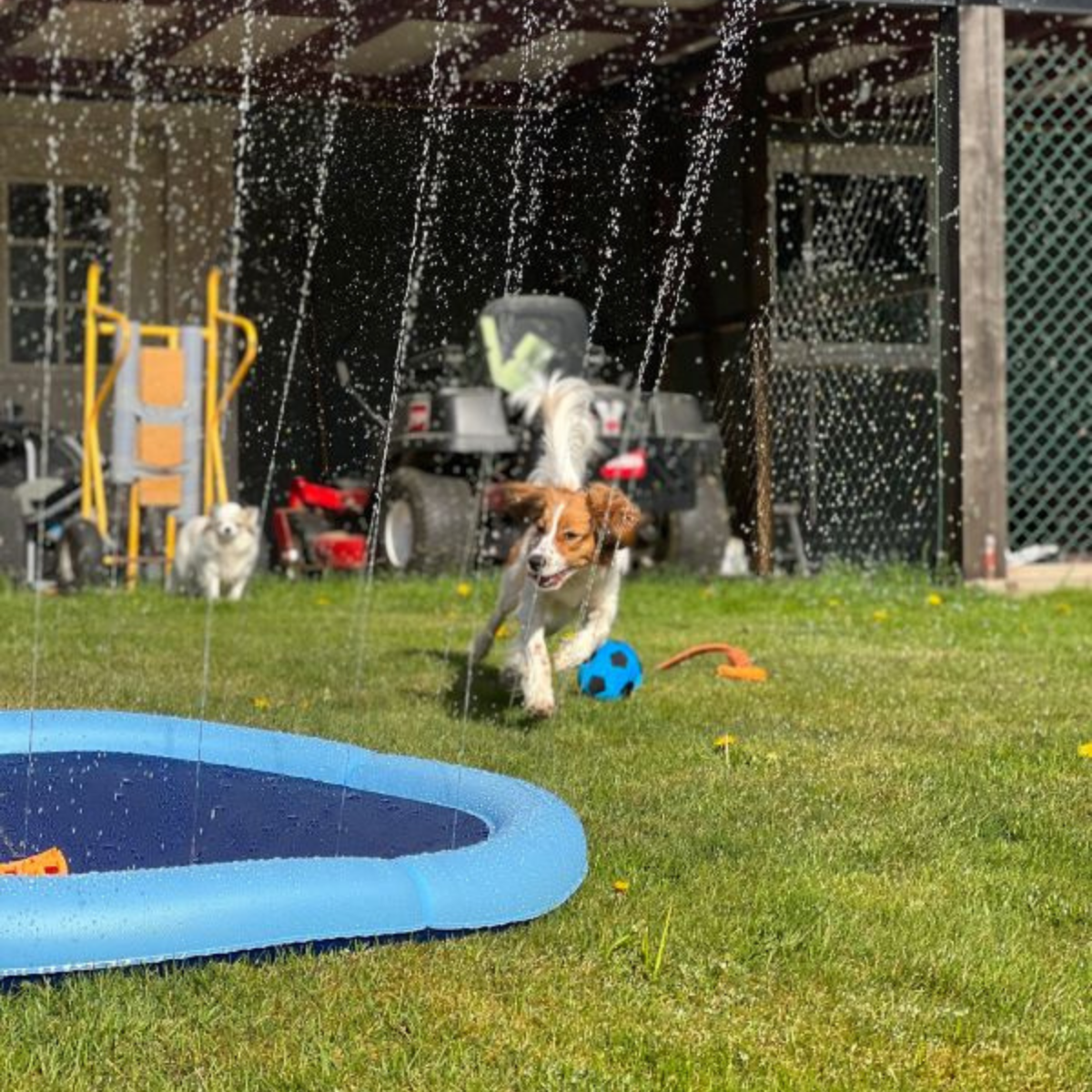 Dogman Fontänmatta Blå