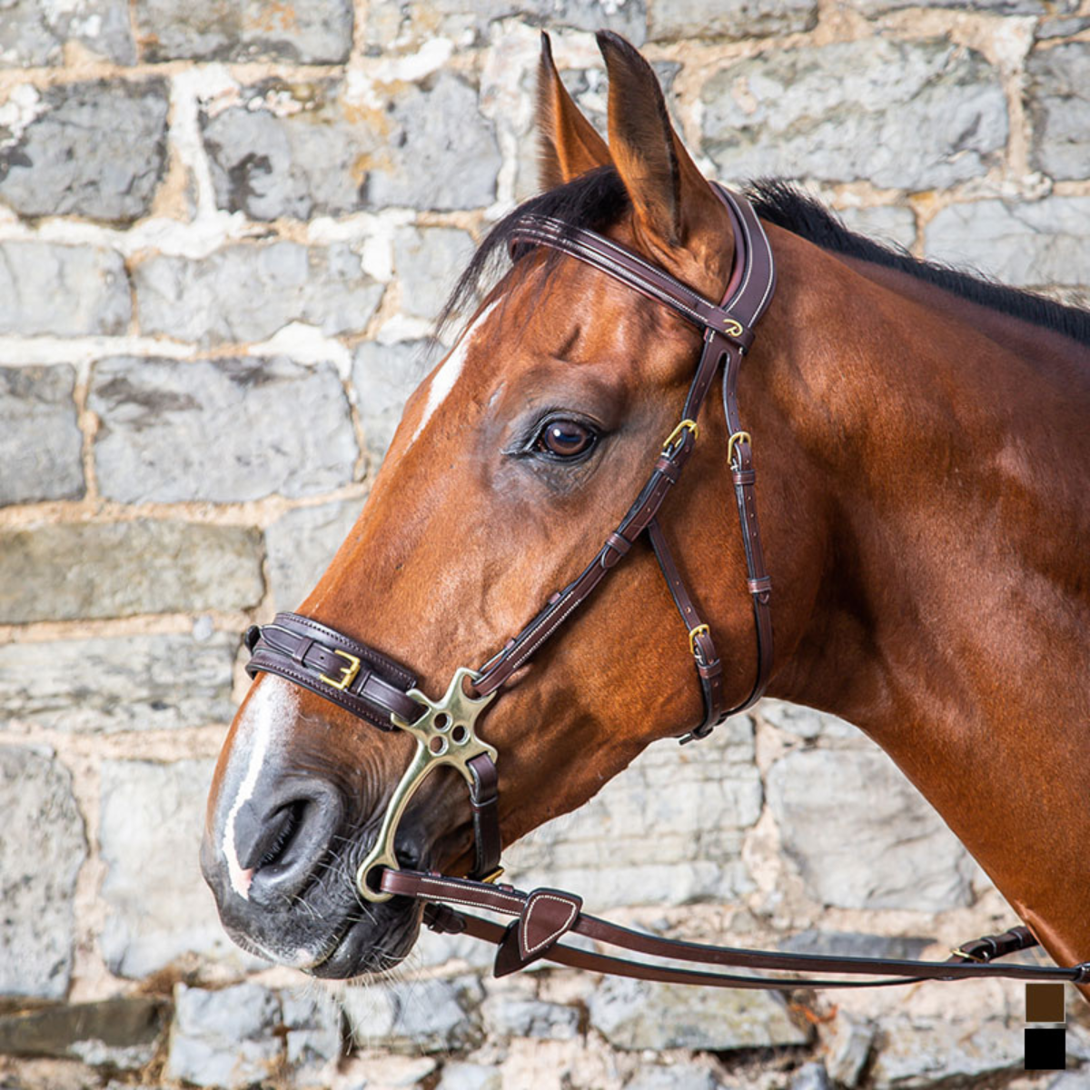 Dyon DY Hackamoreträns