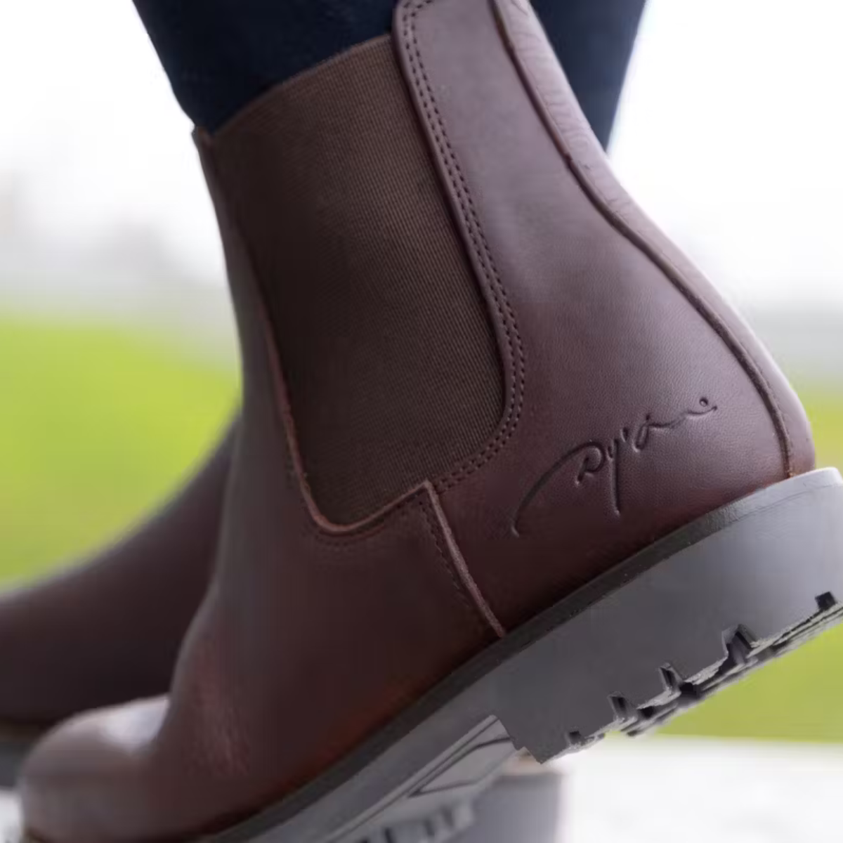 Dyon Chelsea Jodphur