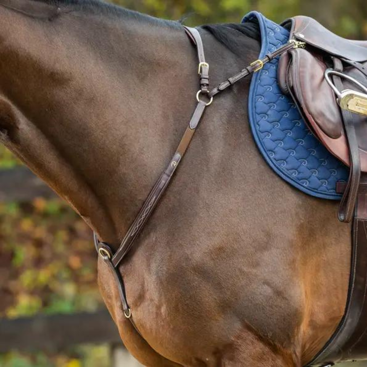 Dyon DY Brösta med brygga