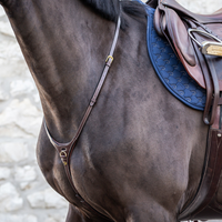 Dyon DY Yoke-martingal