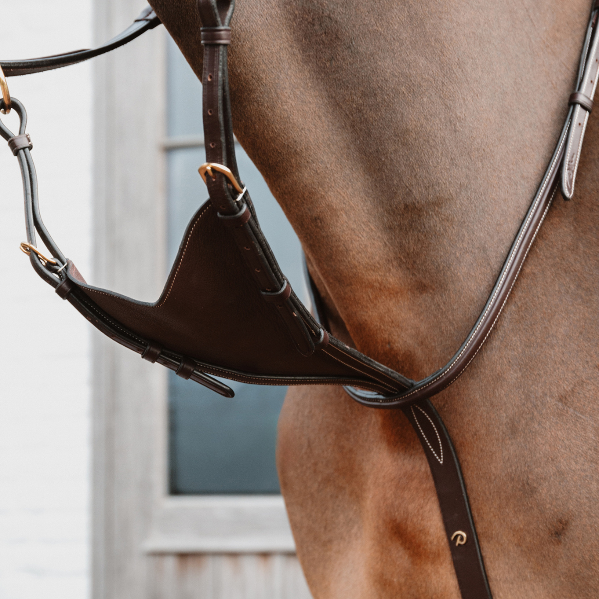 Dyon DY Martingal Med Mjuk Bib