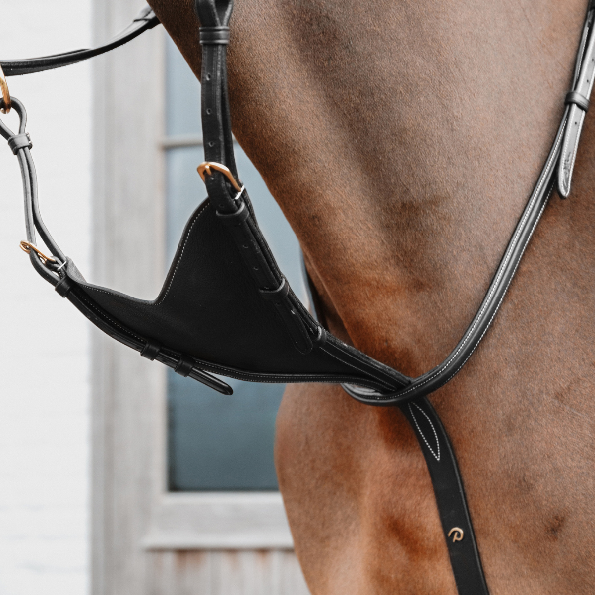 Dyon DY Martingal Med Mjuk Bib