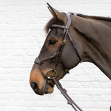 Dyon DY Träns Elastisk Hybridnosgrimma