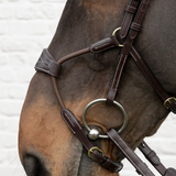 Dyon DY Träns Elastisk Hybridnosgrimma