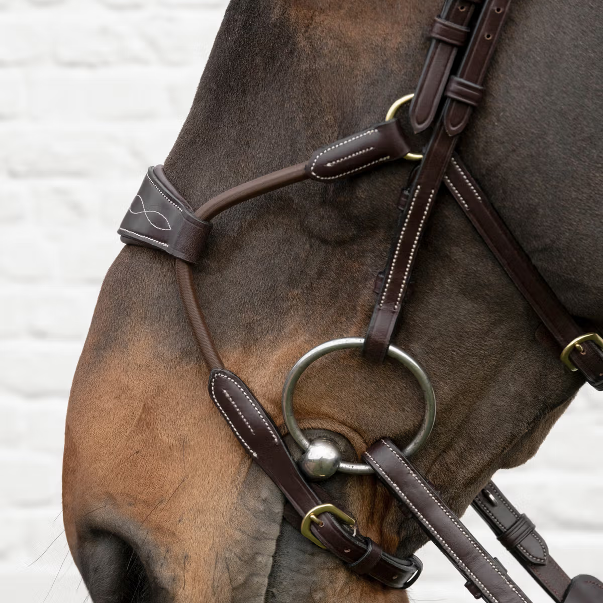 Dyon DY Träns Elastisk Hybridnosgrimma