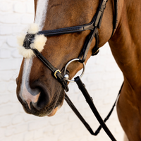 Dyon DY Träns Flätad Finish Mexikansk Nosgrimma