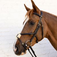 Dyon DY Träns Flätad Finish Mexikansk Nosgrimma