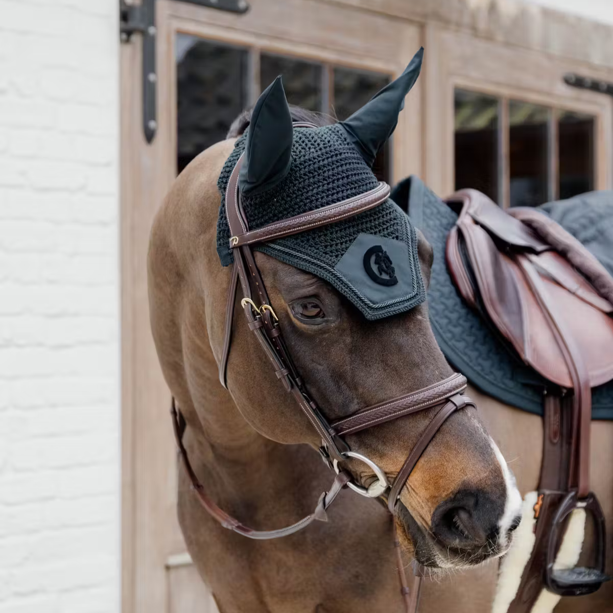 Dyon DY Träns Flätad Finish Komb.nosgrimma