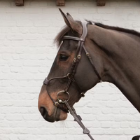 Dyon DY Träns Hybridnosgrimma