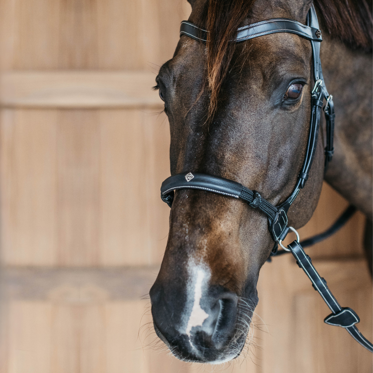 Dyon WO Bettlöst Träns