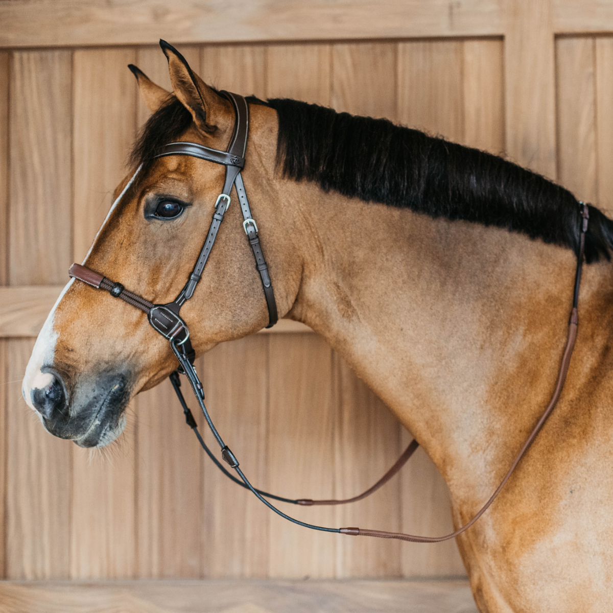 Dyon WO Bettlöst Träns